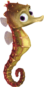 a cute sea horse 